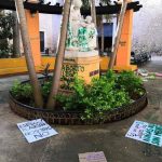 Mujeres, por medio del vandalismo, exigen se legalice el aborto
