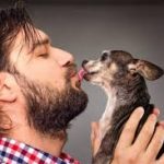 Besar a mascotas podría afectar hígado y pulmones