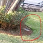 Critican a Mérida: “ciudad sucia y llena de pordioseros”