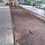 Servicios Públicos Municipales baja la guardia en el Centro Histórico de Mérida