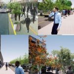 Avalan Plan de Mejora a la Movilidad Urbana