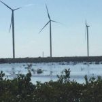 Cumple Yucatán con los acuerdos para evitar la contaminación