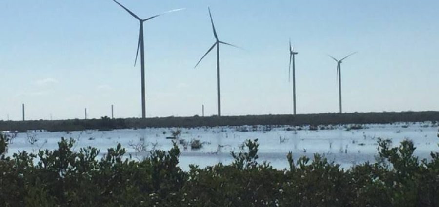 Cumple Yucatán con los acuerdos para evitar la contaminación