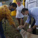 Con música, títeres, ciclos de cine y charlas, Ayuntamiento celebrará el Día de la Niña y el Niño