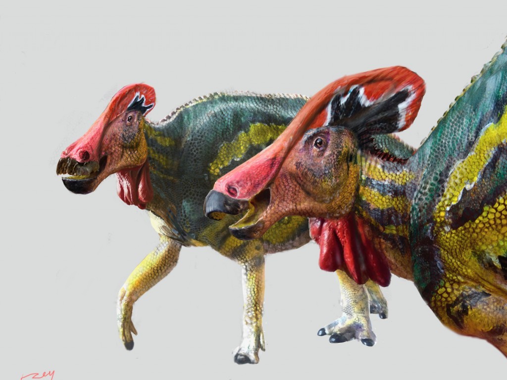 Paleontólogos del INAH y la UNAM identifican una nueva especie de dinosaurio: Tlatolophus galorum