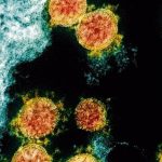 La variante india del coronavirus ya ha sido detectada en más de 60 países