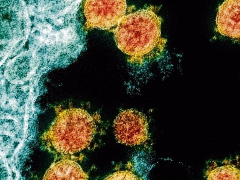 La variante india del coronavirus ya ha sido detectada en más de 60 países