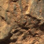 La NASA publica imágenes de varias rocas curiosas de Marte captadas por el róver Perseverance