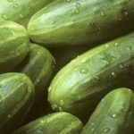 Los estadounidenses consumen cada vez más pepinos mexicanos