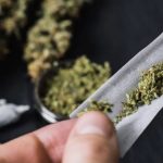 Publican en el Diario Oficial de la Federación la  declaratoria para uso lúdico de la mariguana