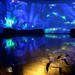 Universum está de regreso y abre con nueva exposición