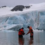 Hallan 77 especies de animales bajo la capa de hielo de la Antártida