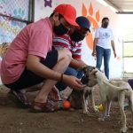 Realizan la primera sesión virtual del Consejo Consultivo de Protección a la Fauna de Mérida