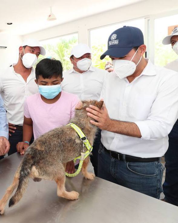 Abren en Yucatán la Unidad Especializada en Delitos de Maltrato Animal Doméstico