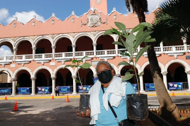 Ayuntamiento de Mérida inicia la jornada Adopta un Árbol