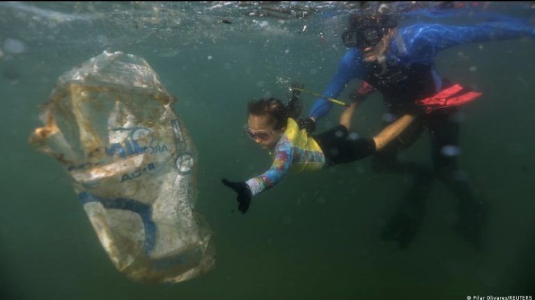 Sigue la contaminación, comemos en microplásticos el equivalente a una tarjeta de crédito a la semana