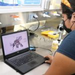 Involucran a la comunidad en el cuidado de la salud