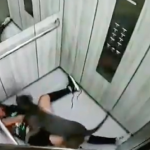 Una mujer es brutalmente atacada por un pitbull en elevador
