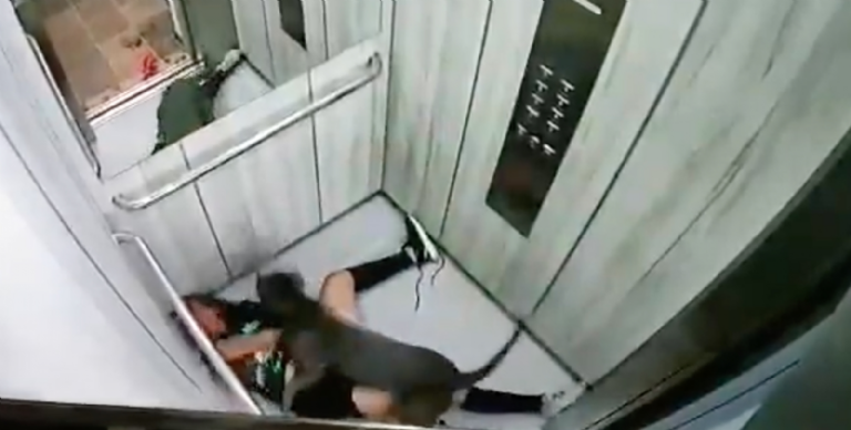 Una mujer es brutalmente atacada por un pitbull en elevador