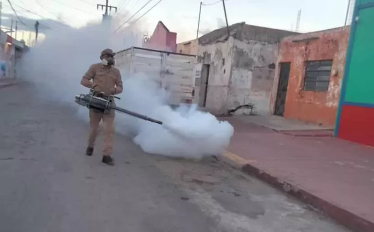 Mantiene SSY paso firme en tareas de prevención contra el dengue en Yucatán