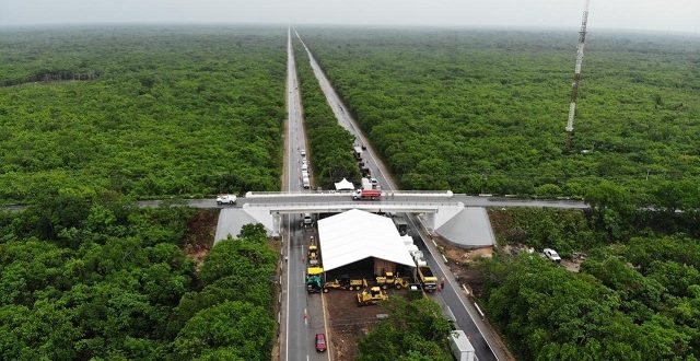 El próximo 29 de febrero, el Tren Maya operará en todos sus tramos