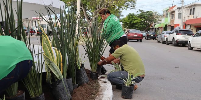 Autoridades de Progreso hacen un llamado a la ciudadanía para reportar a quienes infrinjan contra la biodiversidad