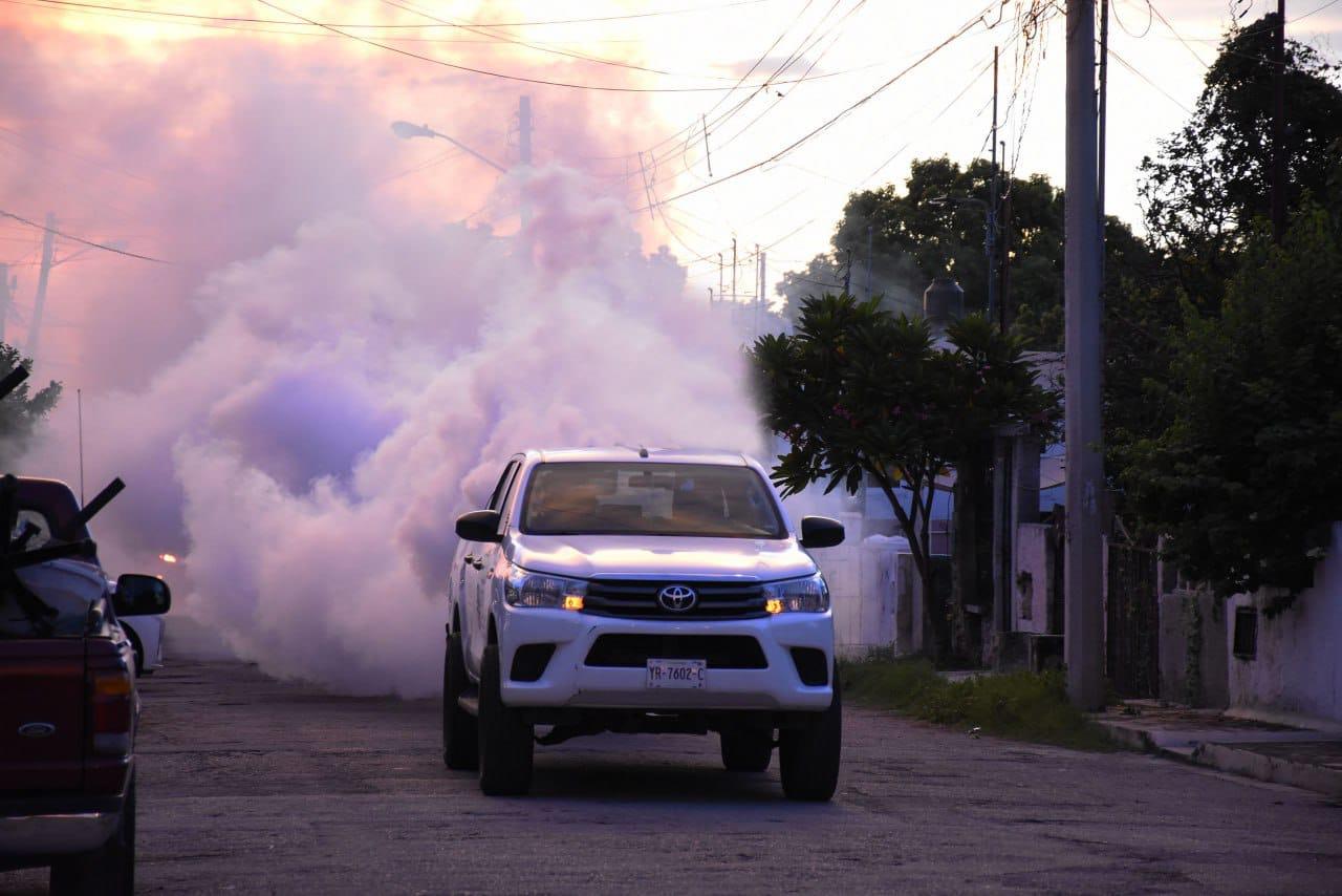 Continúan acciones de combate al dengue