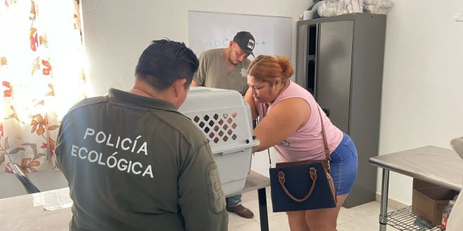 La Policía Ecológica de Kanasín emite recomendaciones para cuidar a las mascotas en esta época de calor