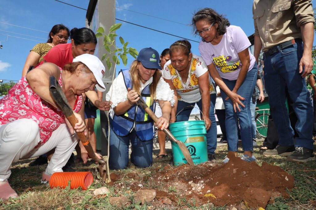 Invita Cecilia Patrón a las y los meridanos a la Cruzada Forestal; plantarán 8 mil 500 árboles en 18 días. Invita Cecilia Patrón a las y los meridanos a la Cruzada Forestal; plantarán 8 mil 500 árboles en 18 días.