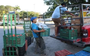 Yucatán y Quintana Roo lideran en empleo formal en la Península