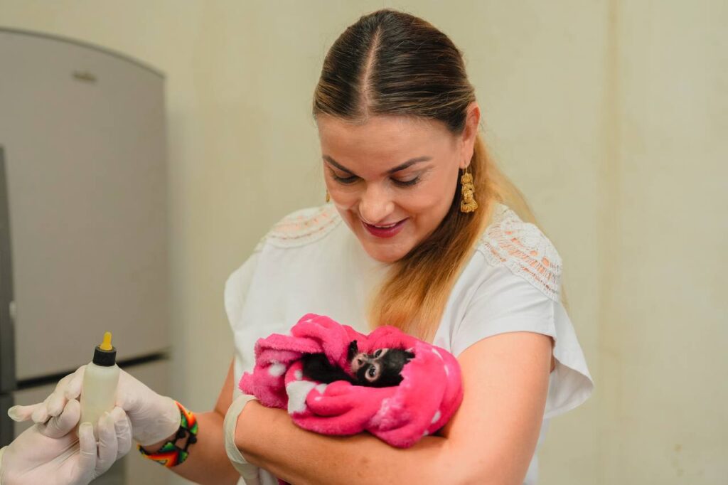 Vamos por un mejor cuidado de la fauna y rescate de nuestras especies silvestres: Cecilia Patrón. Vamos por un mejor cuidado de la fauna y rescate de nuestras especies silvestres: Cecilia Patrón.