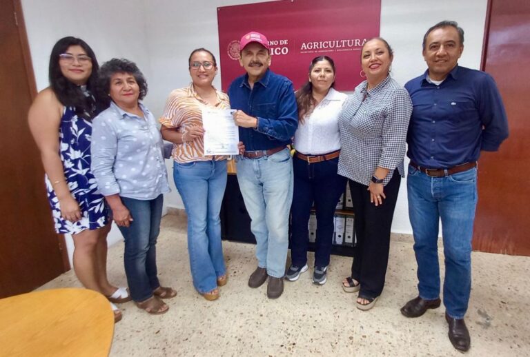 Yucatán hace historia: se registra la primera agrupación ganadera de mujeres en México