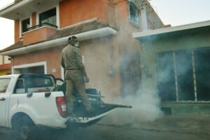 Gobierno del Renacimiento Maya reduce en 43.6% los casos de dengue en Yucatán