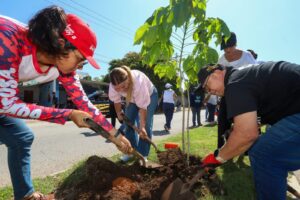 Ya son 100 los árboles protegidos con Valor Cultural y Patrimonial de Mérida: Cecilia Patrón.