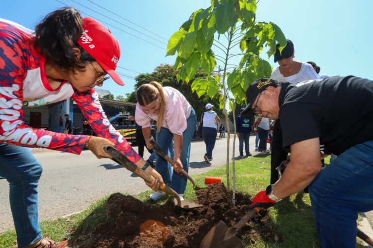 Ya son 100 los árboles protegidos con Valor Cultural y Patrimonial de Mérida: Cecilia Patrón.