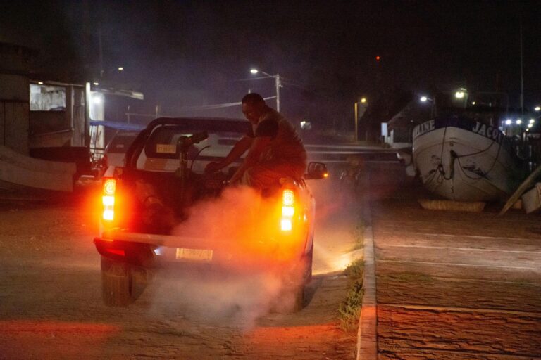 Gobierno de Yucatán intensifica operativo contra el mosquito de la ciénaga tras lluvias recientes