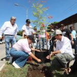 Árboles fuertes y una Mérida más verde gracias a una nueva manera de plantar: Cecilia Patrón.