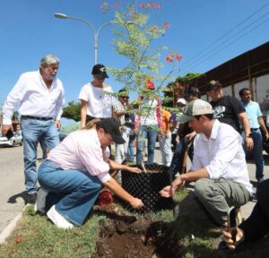 Árboles fuertes y una Mérida más verde gracias a una nueva manera de plantar: Cecilia Patrón.