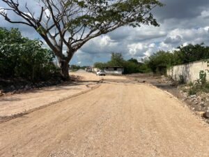 Atiende Cecilia Patrón necesidades del sur de Mérida.