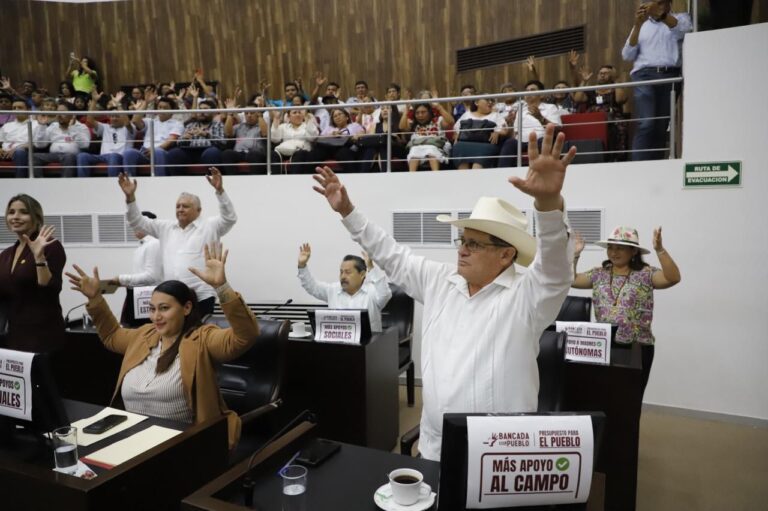 Victoria Del Pueblo: Congreso Aprueba La Ley De Autismo Impulsada Por Morena