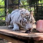 2d36d415-c1bd-4ff2-b7e9-dc7c35af2e35