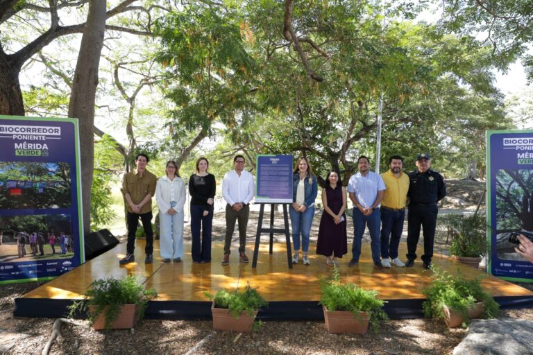 WhatsApp-Image-2026-02-04-at-2.34.14-PM