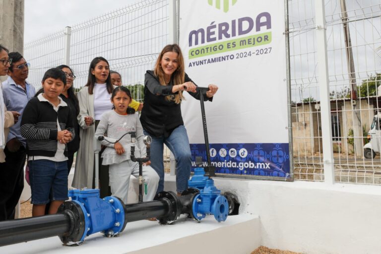 WhatsApp-Image-2026-02-21-at-12.12.31-PM