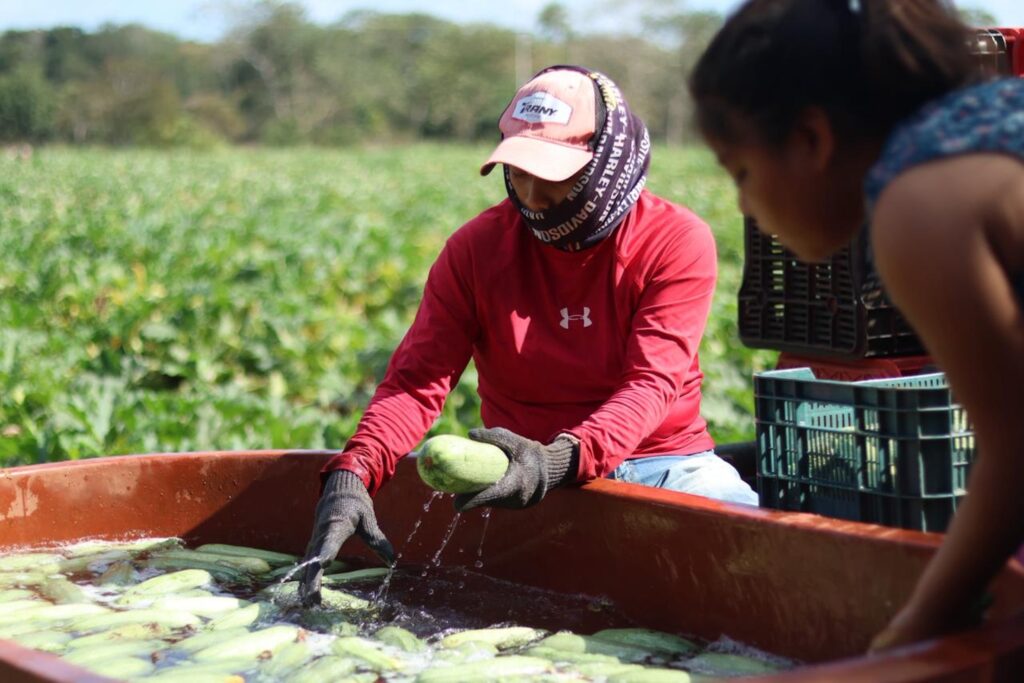 73d8ed3e-3e5b-4637-9bf8-180da12c8698