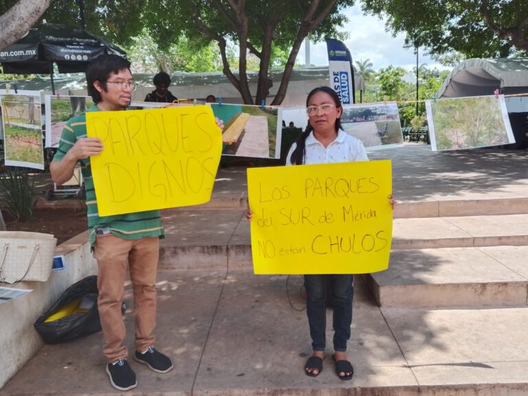 WhatsApp Image 2026-04-08 at 14.29.05