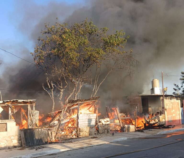 WhatsApp Image 2026-04-08 at 19.29.37