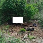 WhatsApp Image 2026-04-09 at 11.38.23