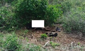 WhatsApp Image 2026-04-09 at 11.38.23