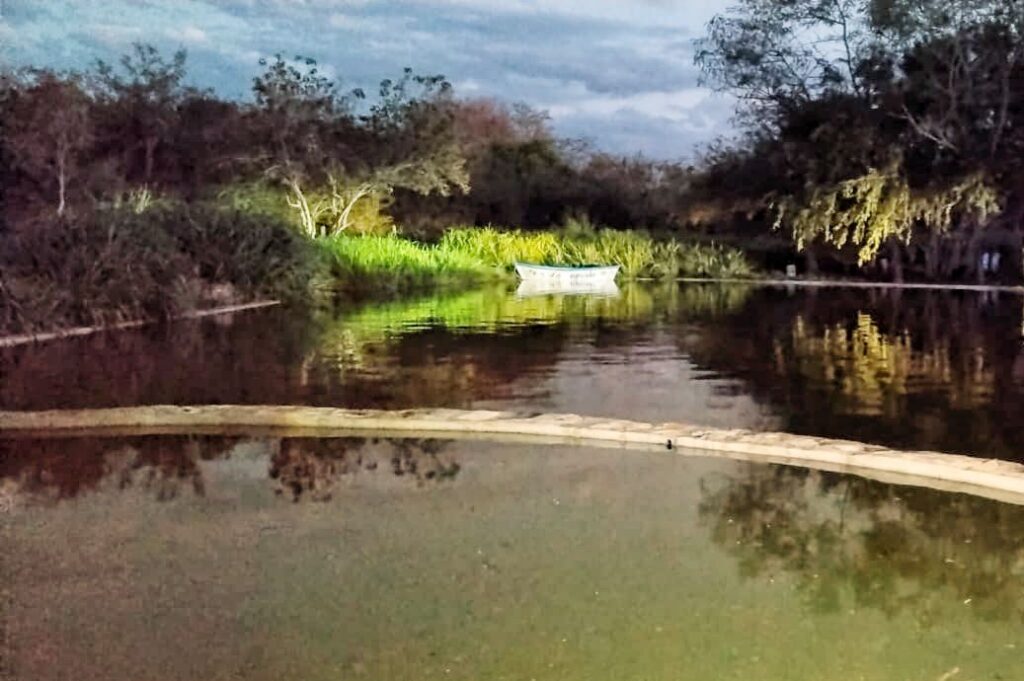 WhatsApp Image 2026-04-09 at 21.30.28