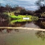 WhatsApp Image 2026-04-09 at 21.30.28